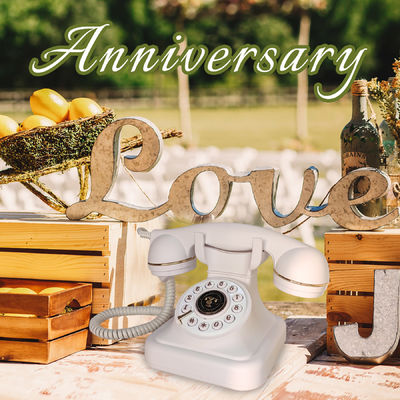 32GB 結婚式 ゲスト メッセージ カスタム カラー オーディオ 電話 ゲストブック 誕生日 イベント