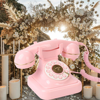 音響がはっきりした 結婚式 ゲストブック ゲストの願いを集めるためのピンク