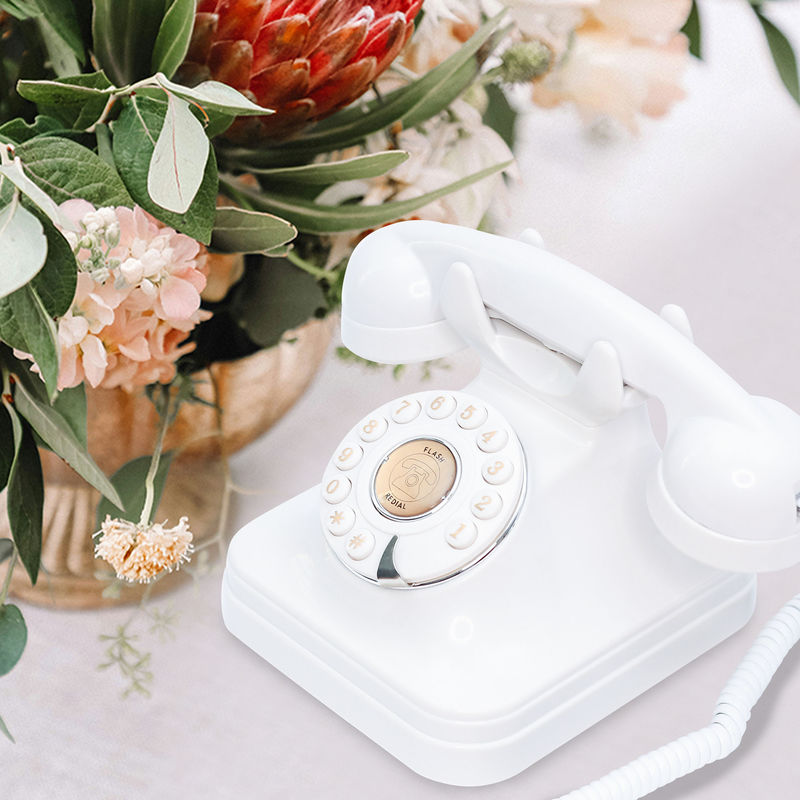OEM ゲスト メッセージ 音声メッセージ ゲストブック 10時間 古い電話 結婚式 ゲストブック